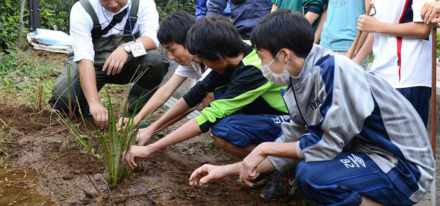 ～街のビオトープ～　土地の記憶プロジェクト